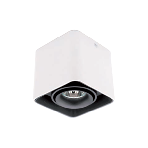 General Purpose Downlight