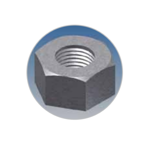 Hexagon Nut