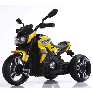 Electric Trike