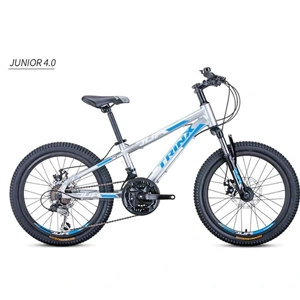 Manual Bicycle