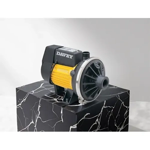 Transfer Pump