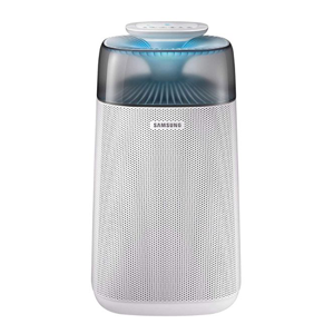 Domestic Air Purifier