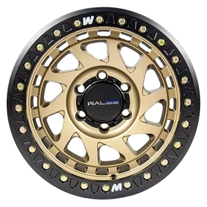 Automobile Wheel