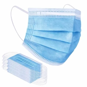 Face Mask