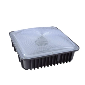 Canopy Lighting Fixture