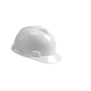 Face Shield