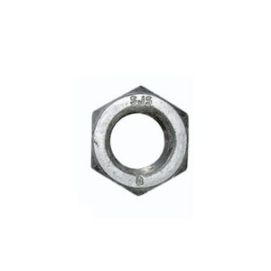 Hexagon Nut