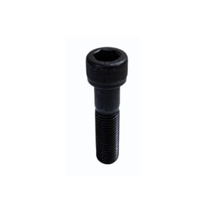 Socket Screw