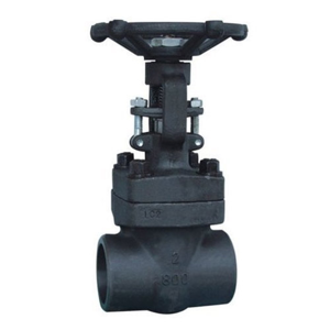 Globe Valve