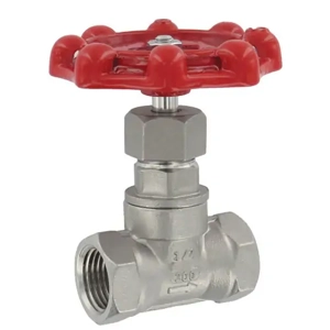 Globe Valve