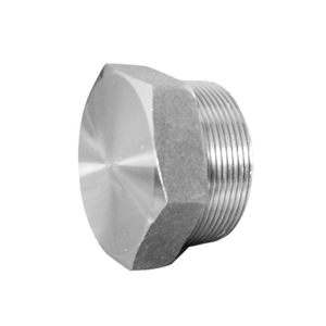 Pipe Plug