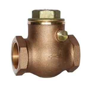 Swing Check Valve