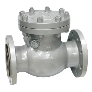 Swing Check Valve