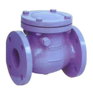 Swing Check Valve