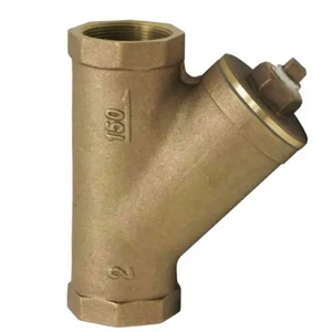 Y Strainer