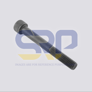 Socket Screw