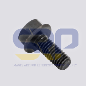 Socket Screw