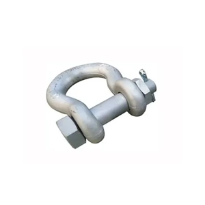 Dee Shackle