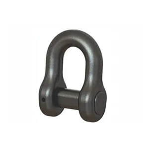 Dee Shackle