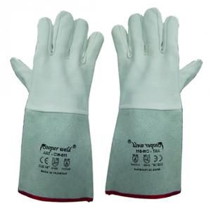 Safety Glove