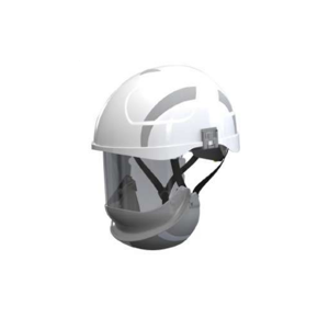 Face Shield