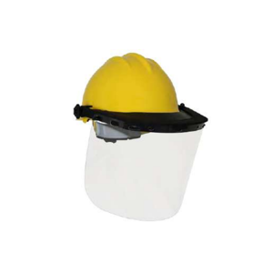 Face Shield