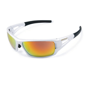Safety Goggle