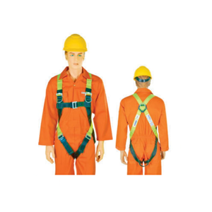 uae/images/productimages/safety-store/safety-harness/ameriza-vertex-full-body-harness-green-and-black.webp