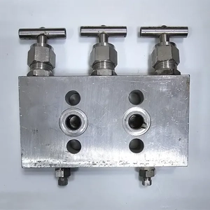 Manifold Valve