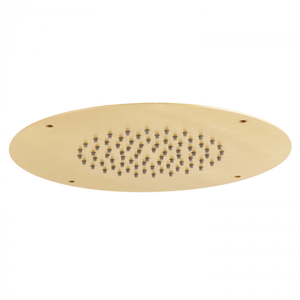 Shower Head