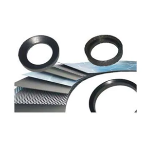 Graphite Gasket