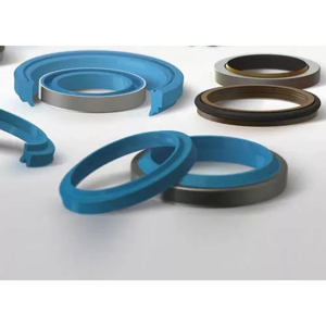 Hydraulic Seal