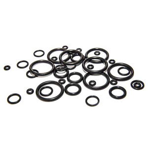 O Ring Gasket
