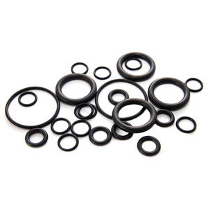 O Ring Gasket
