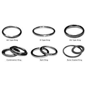 Ring Joint Gasket