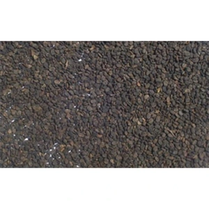 Cullen Corylifolium Seed