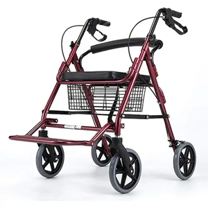 Gait Training Walker