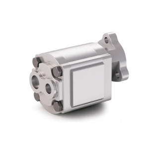 Gear Pump