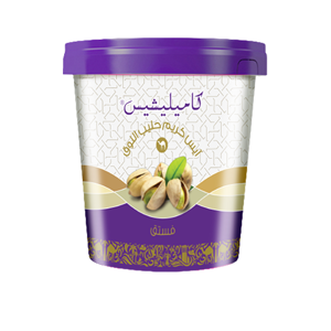 uae/images/productimages/sinaha-platform/ice-cream-dessert/camelicious-camel-milk-ice-cream-pistachio-400-125-ml.webp