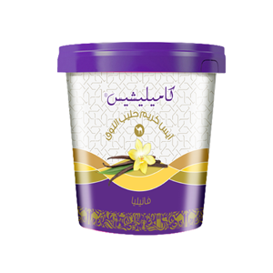 uae/images/productimages/sinaha-platform/ice-cream-dessert/camelicious-camel-milk-ice-cream-vanilla-400-125-ml.webp