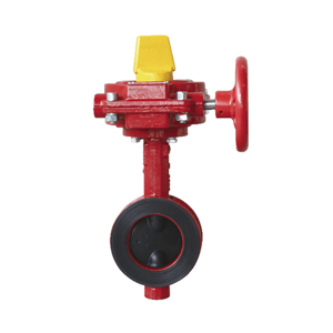 Butterfly Valve