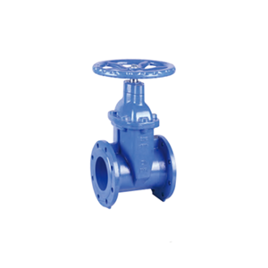 Gate Valve
