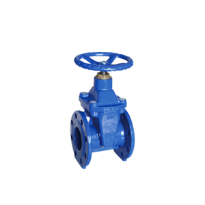 Gate Valve