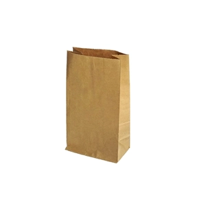 Paper Bag