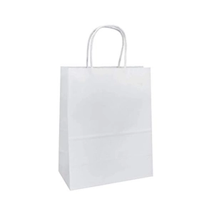 uae/images/productimages/snh-packing-general-trading-llc/paper-bag/white-paper-bag-with-twisted-handle.webp