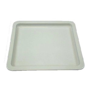 Plastic Disposable Tray