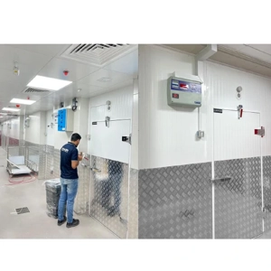 Cold Room Door