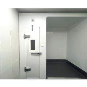 Cold Room Door