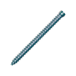 Wood Screw