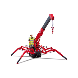 Mini Crane